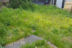 before-pcture-of-ground-in-back-of-priory