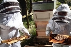 beekeerper-5-2