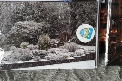 xmas-cards-sbow-scene